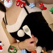 ヒメ日記 2024/12/14 15:11 投稿 まこ 石庭