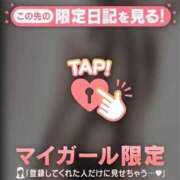 ヒメ日記 2024/12/15 15:56 投稿 まこ 石庭