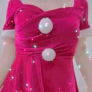 ヒメ日記 2024/12/18 10:51 投稿 まこ 石庭