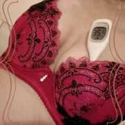 ヒメ日記 2024/12/19 13:21 投稿 まこ 石庭