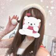 ヒメ日記 2024/12/19 14:54 投稿 まこ 石庭