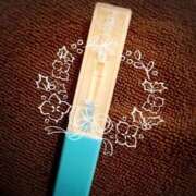 ヒメ日記 2024/12/21 15:42 投稿 まこ 石庭