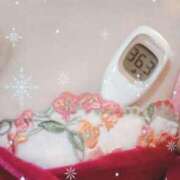 ヒメ日記 2024/12/21 15:53 投稿 まこ 石庭