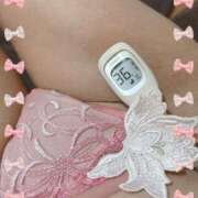 ヒメ日記 2024/12/22 14:09 投稿 まこ 石庭