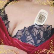 ヒメ日記 2024/12/25 12:25 投稿 まこ 石庭