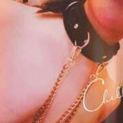 ヒメ日記 2024/12/28 16:25 投稿 まこ 石庭