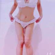 ヒメ日記 2024/12/29 14:25 投稿 まこ 石庭