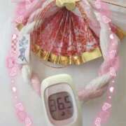 ヒメ日記 2024/12/31 15:11 投稿 まこ 石庭