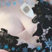 ヒメ日記 2025/01/07 12:44 投稿 まこ 石庭