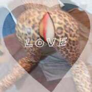 ヒメ日記 2025/01/07 14:12 投稿 まこ 石庭