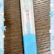 ヒメ日記 2025/01/08 12:17 投稿 まこ 石庭