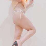 ヒメ日記 2025/01/08 15:02 投稿 まこ 石庭