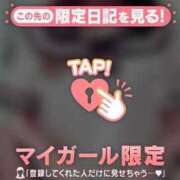 ヒメ日記 2025/01/09 22:18 投稿 まこ 石庭