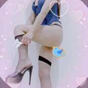 ヒメ日記 2025/01/14 14:09 投稿 まこ 石庭