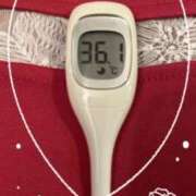 ヒメ日記 2025/01/19 12:51 投稿 まこ 石庭