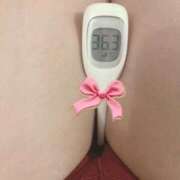 ヒメ日記 2025/01/22 14:23 投稿 まこ 石庭