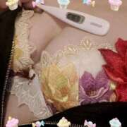 ヒメ日記 2025/01/26 14:39 投稿 まこ 石庭