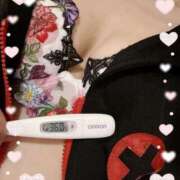 ヒメ日記 2025/02/01 13:46 投稿 まこ 石庭