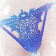 ヒメ日記 2025/02/01 16:09 投稿 まこ 石庭