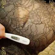 ヒメ日記 2025/02/05 11:55 投稿 まこ 石庭