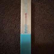 ヒメ日記 2025/02/08 13:31 投稿 まこ 石庭