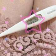 ヒメ日記 2025/02/11 12:13 投稿 まこ 石庭