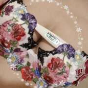 ヒメ日記 2025/02/12 15:21 投稿 まこ 石庭