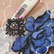 ヒメ日記 2025/02/16 13:25 投稿 まこ 石庭