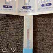 ヒメ日記 2025/03/02 12:05 投稿 まこ 石庭