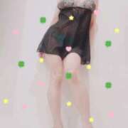 ヒメ日記 2025/03/03 21:30 投稿 まこ 石庭