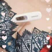 ヒメ日記 2025/03/04 11:50 投稿 まこ 石庭