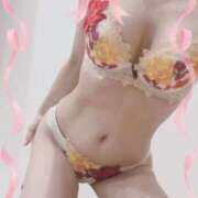 ヒメ日記 2025/03/06 10:50 投稿 まこ 石庭