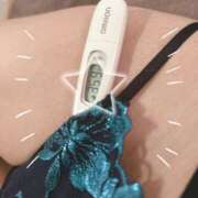 ヒメ日記 2025/03/06 11:02 投稿 まこ 石庭