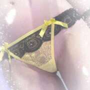 ヒメ日記 2025/03/08 15:38 投稿 まこ 石庭