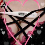 ヒメ日記 2025/03/09 13:50 投稿 まこ 石庭