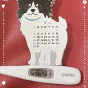 ヒメ日記 2025/03/12 10:00 投稿 まこ 石庭