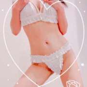 ヒメ日記 2025/03/12 11:30 投稿 まこ 石庭