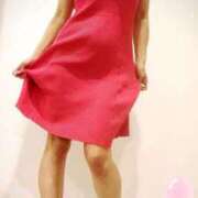 ヒメ日記 2025/03/12 14:50 投稿 まこ 石庭