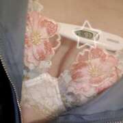 ヒメ日記 2025/03/13 14:50 投稿 まこ 石庭