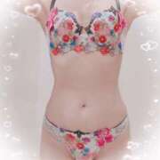 ヒメ日記 2025/03/15 21:40 投稿 まこ 石庭