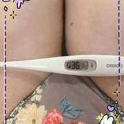 ヒメ日記 2025/03/16 13:00 投稿 まこ 石庭