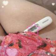 ヒメ日記 2025/03/18 11:59 投稿 まこ 石庭