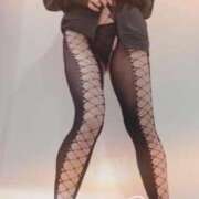 ヒメ日記 2025/03/19 10:39 投稿 まこ 石庭