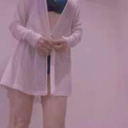 ヒメ日記 2025/03/25 21:11 投稿 まこ 石庭