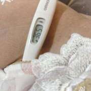 ヒメ日記 2025/03/26 12:25 投稿 まこ 石庭