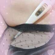 ヒメ日記 2025/03/27 11:50 投稿 まこ 石庭