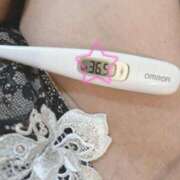 ヒメ日記 2025/03/30 14:34 投稿 まこ 石庭