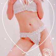 ヒメ日記 2025/03/30 21:20 投稿 まこ 石庭