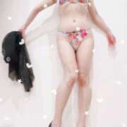 ヒメ日記 2025/04/01 12:00 投稿 まこ 石庭