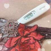 ヒメ日記 2025/04/02 12:22 投稿 まこ 石庭